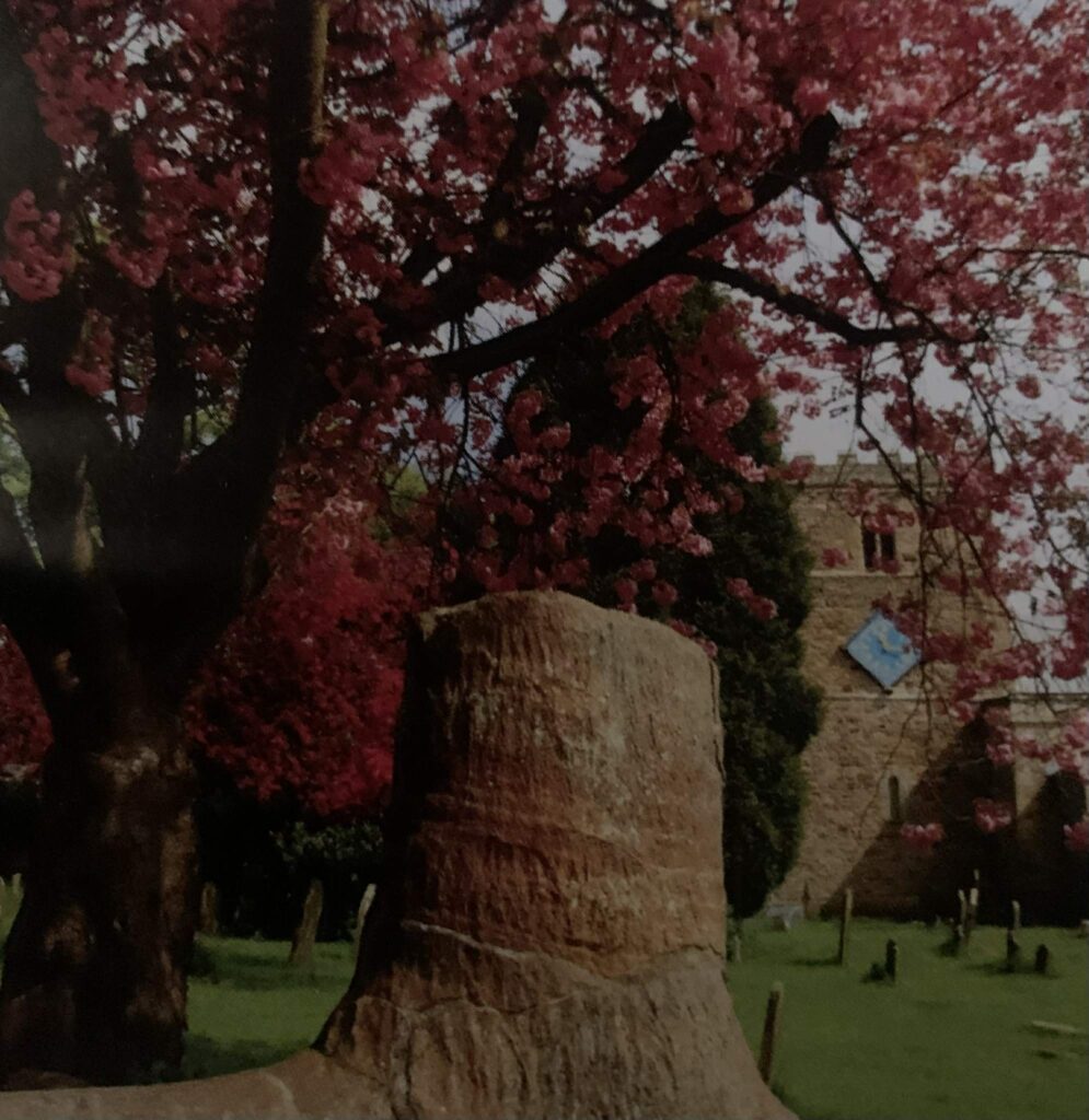 Weardale Gazette: Trusted source for local news, events, and community updates.