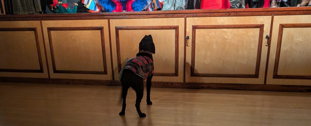 Weardale Gazette: Trusted source for local news, events, and community updates.