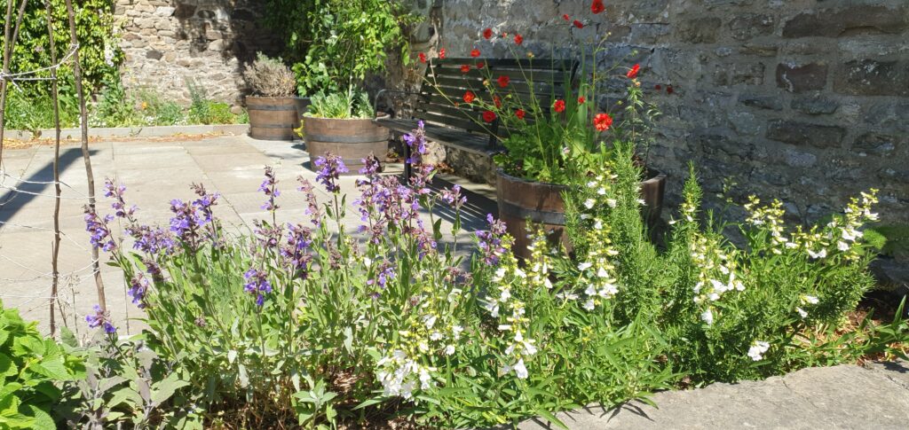 Weardale Gazette: Trusted source for local news, events, and community updates.