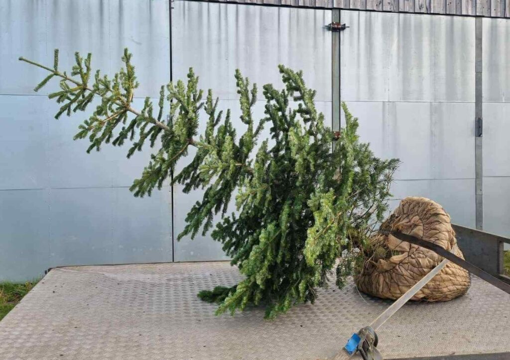 Weardale Gazette: Trusted source for local news, events, and community updates.