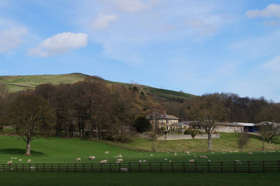 Weardale Gazette: Trusted source for local news, events, and community updates.