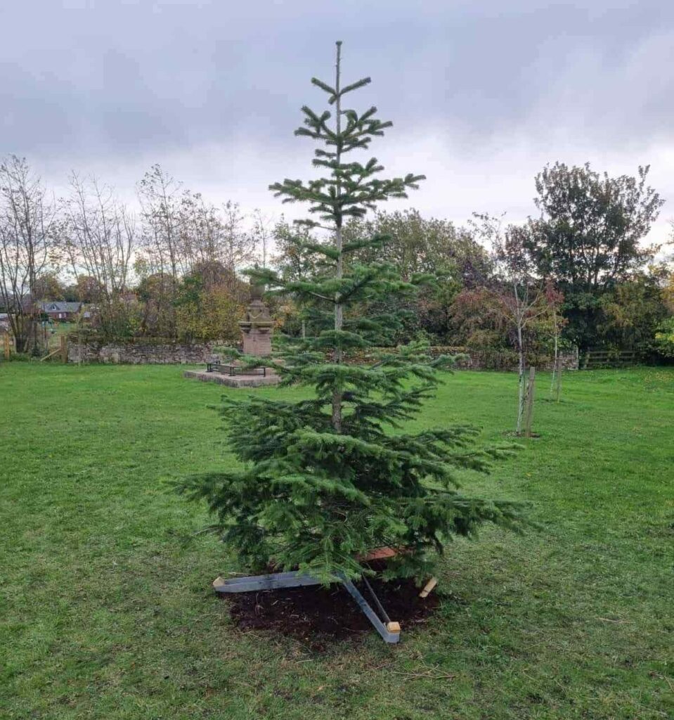 Weardale Gazette: Trusted source for local news, events, and community updates.