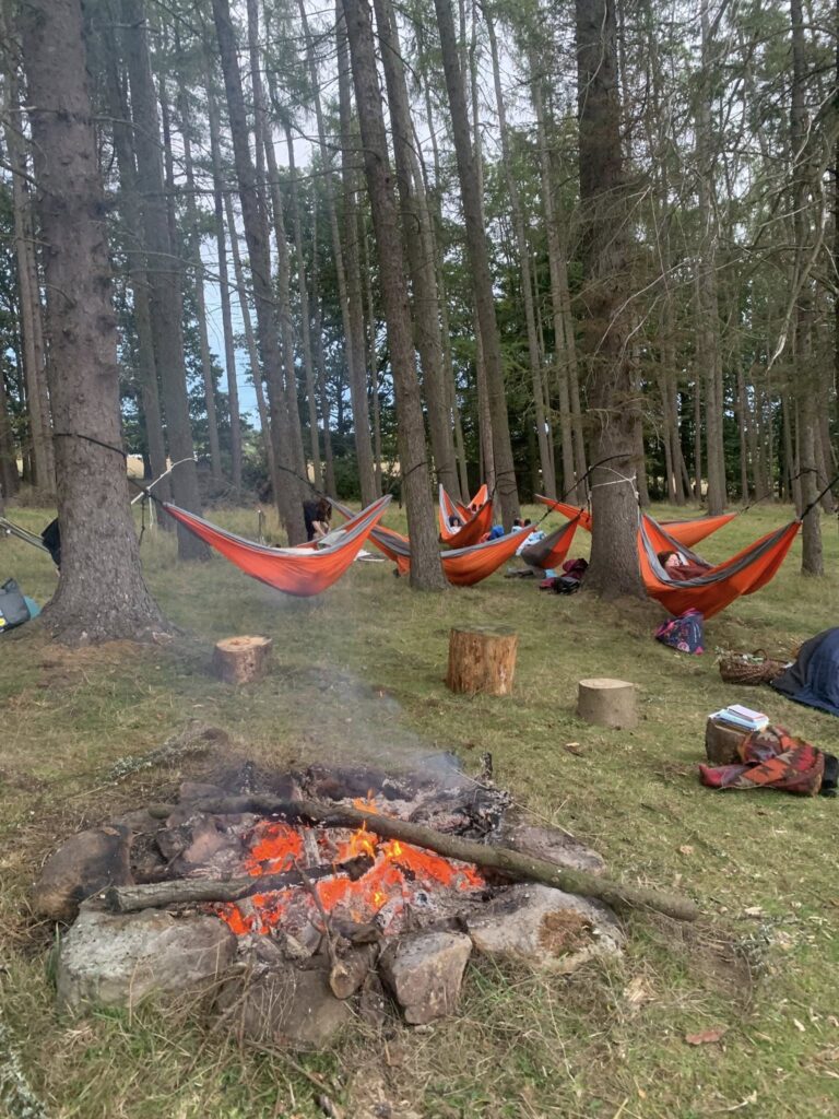 Weardale Gazette: Trusted source for local news, events, and community updates.