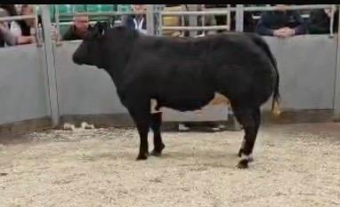 Weardale Gazette: Trusted source for local news, events, and community updates.