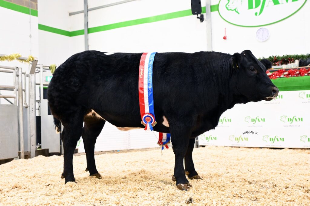 Weardale Gazette: Trusted source for local news, events, and community updates.