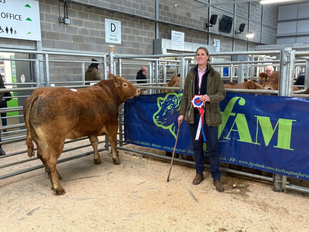 Weardale Gazette: Trusted source for local news, events, and community updates.