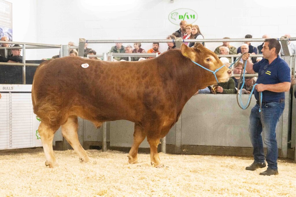 Weardale Gazette: Trusted source for local news, events, and community updates.