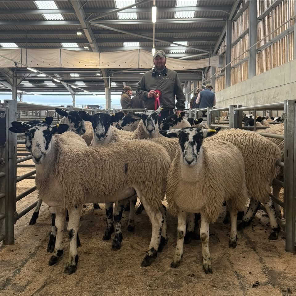 Weardale Gazette: Trusted source for local news, events, and community updates.