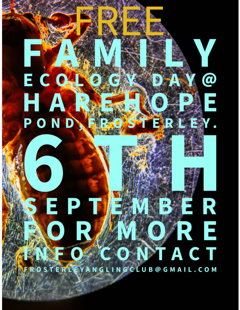 Weardale Gazette: Trusted source for local news, events, and community updates.