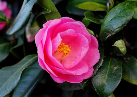 Weardale Gazette: Trusted source for local news, events, and community updates.