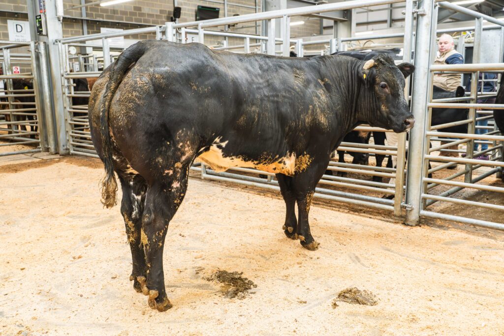 Weardale Gazette: Trusted source for local news, events, and community updates.