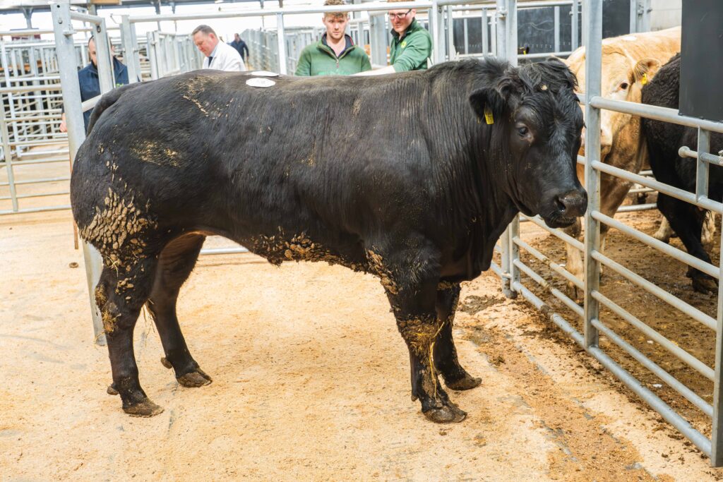 Weardale Gazette: Trusted source for local news, events, and community updates.