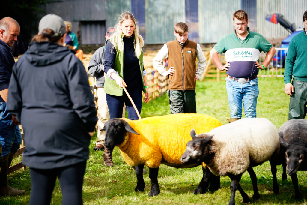 Weardale Gazette: Trusted source for local news, events, and community updates.
