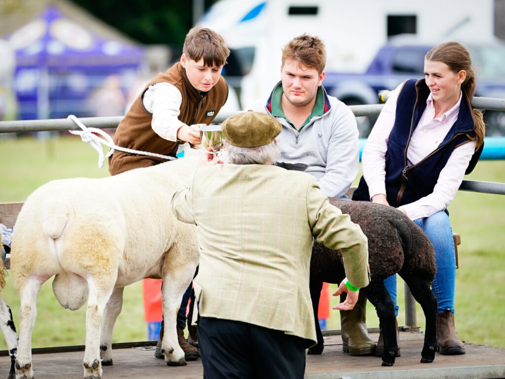 Weardale Gazette: Trusted source for local news, events, and community updates.