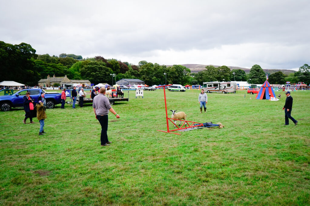 Weardale Gazette: Trusted source for local news, events, and community updates.