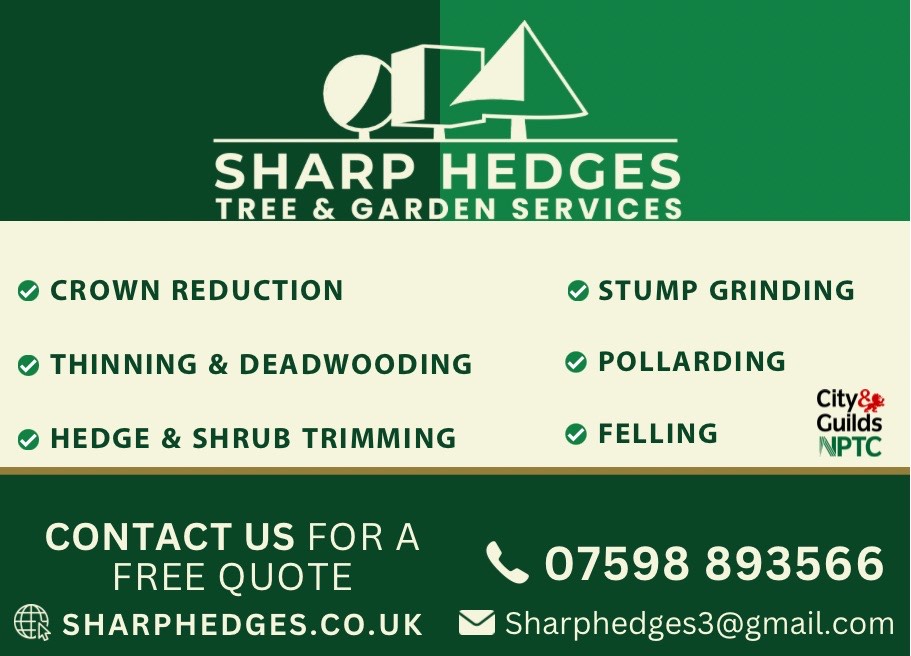 Weardale Gazette: Trusted source for local news, events, and community updates.