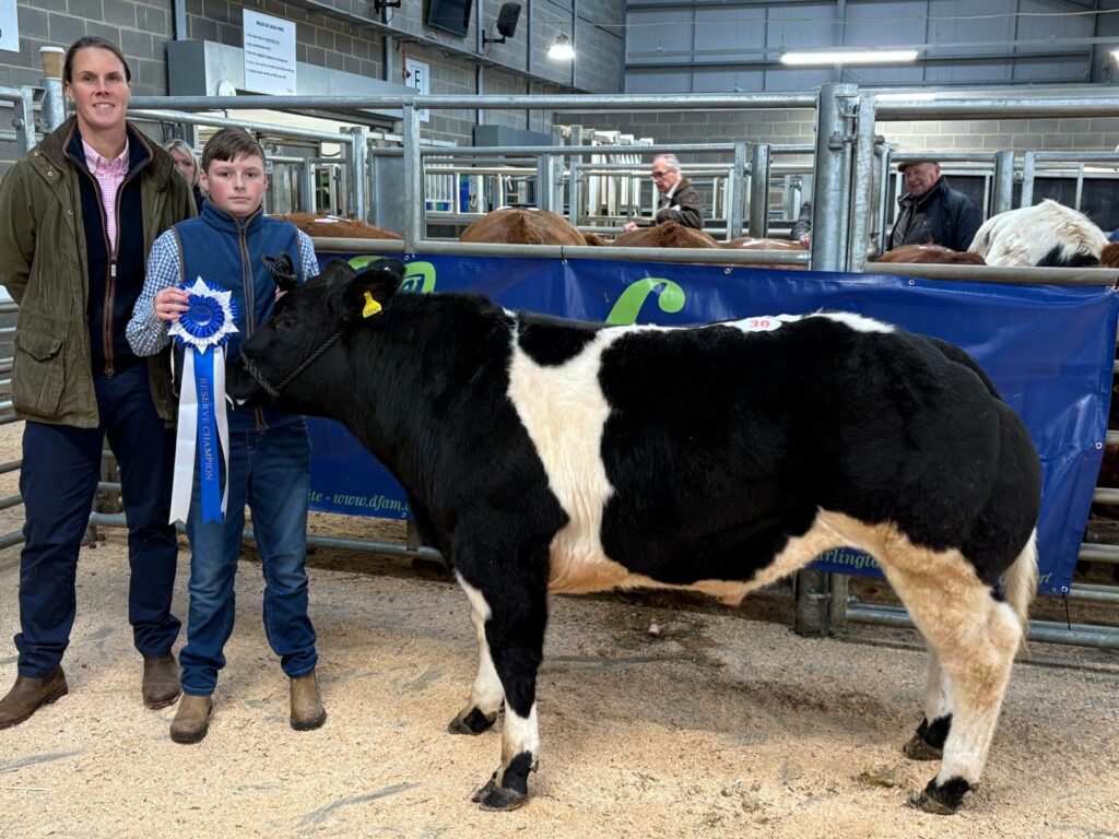 Weardale Gazette: Trusted source for local news, events, and community updates.