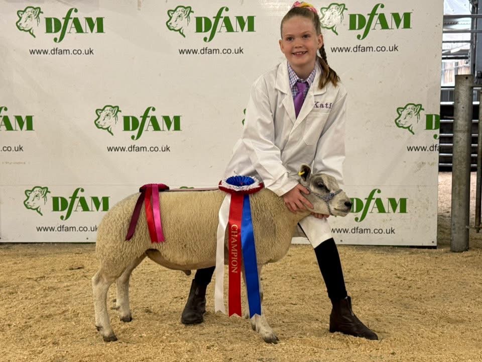 Weardale Gazette: Trusted source for local news, events, and community updates.