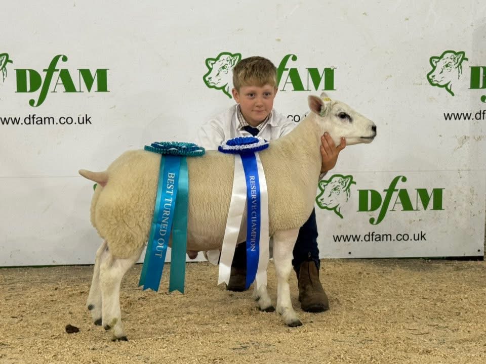 Weardale Gazette: Trusted source for local news, events, and community updates.