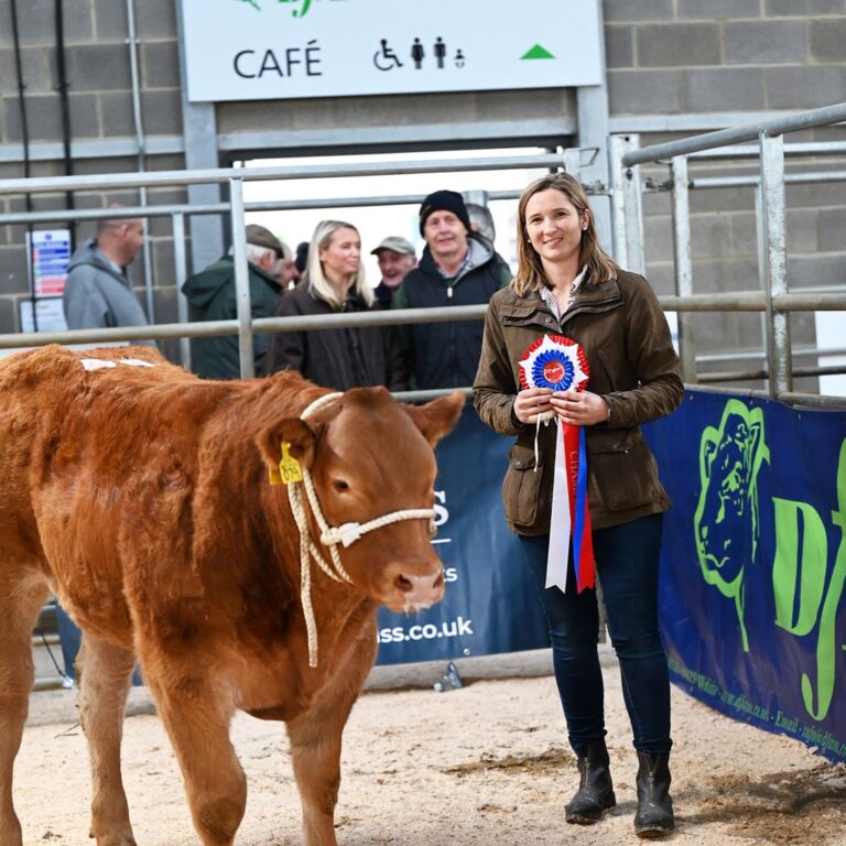 Weardale Gazette: Trusted source for local news, events, and community updates.