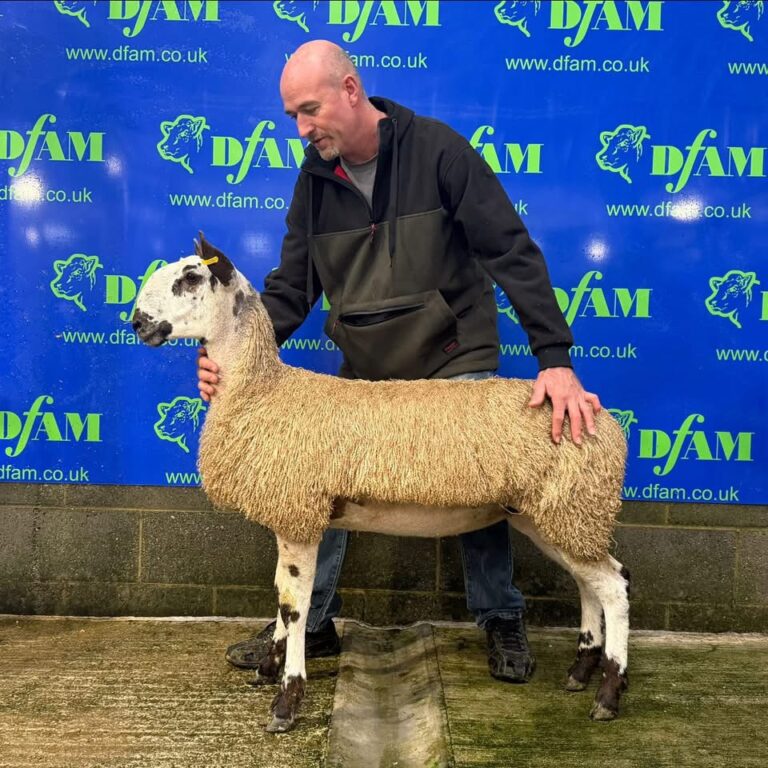 Weardale Gazette: Trusted source for local news, events, and community updates.