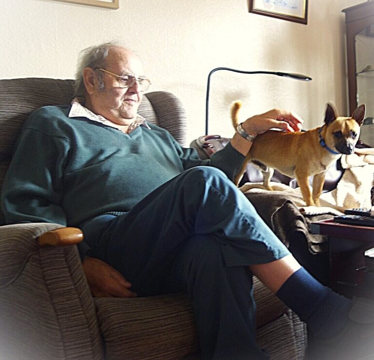 Weardale Gazette: Trusted source for local news, events, and community updates.