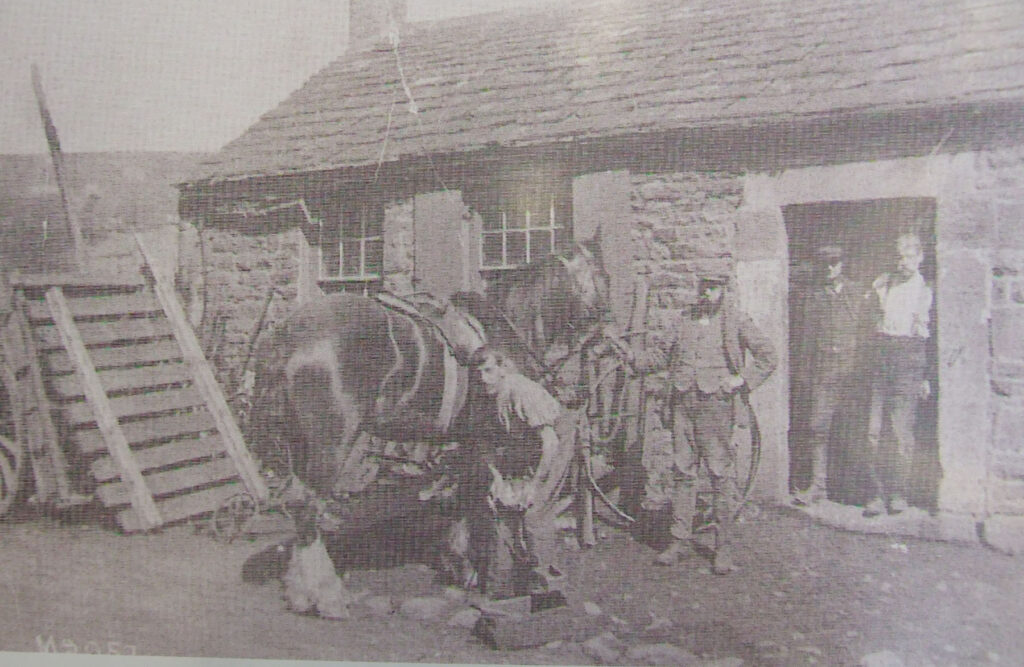 Weardale Gazette: Trusted source for local news, events, and community updates.