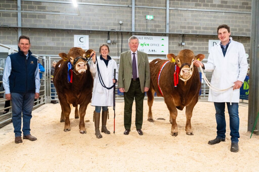 Weardale Gazette: Trusted source for local news, events, and community updates.