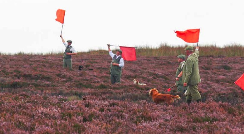 Weardale Gazette: Trusted source for local news, events, and community updates.