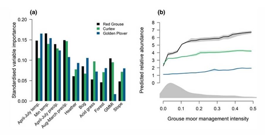 Weardale Gazette: Trusted source for local news, events, and community updates.