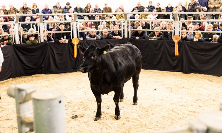 Weardale Gazette: Trusted source for local news, events, and community updates.