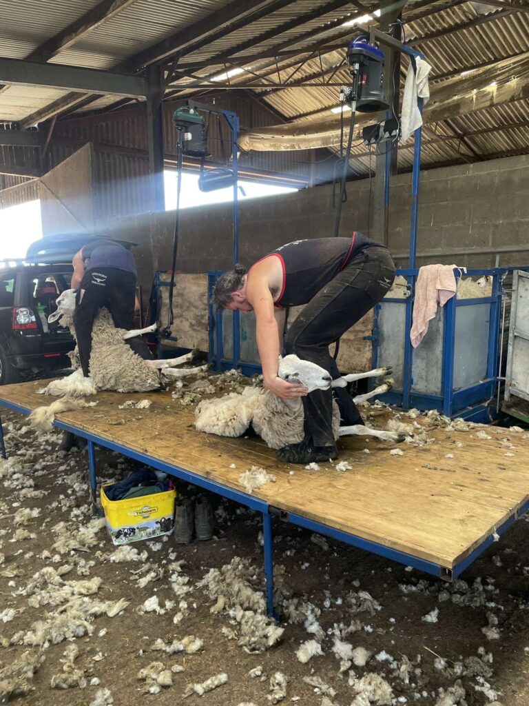 Weardale Gazette: Trusted source for local news, events, and community updates.