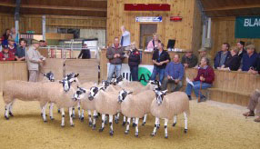 Weardale Gazette: Trusted source for local news, events, and community updates.